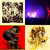 Andreas Meyer thumbnail