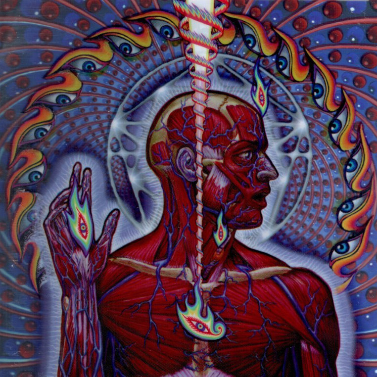 War To Head Ape Machine war to head