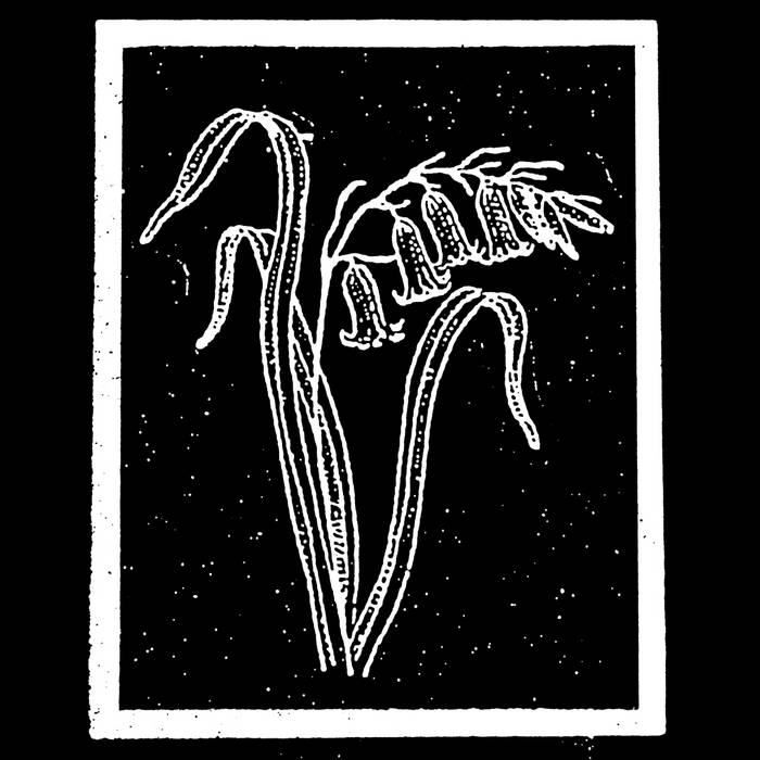A Silver Line Marks the Flag | Various Artists | Chondritic