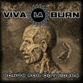 Viva La Burn image