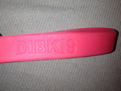 DIBKIS Wristband main photo