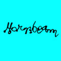 Hornbeam image
