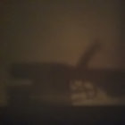 Bertie thumbnail