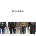 The Leviathans image