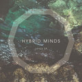 Hybrid Minds image