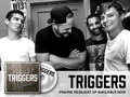 Triggers image