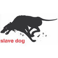 Slave Dog image