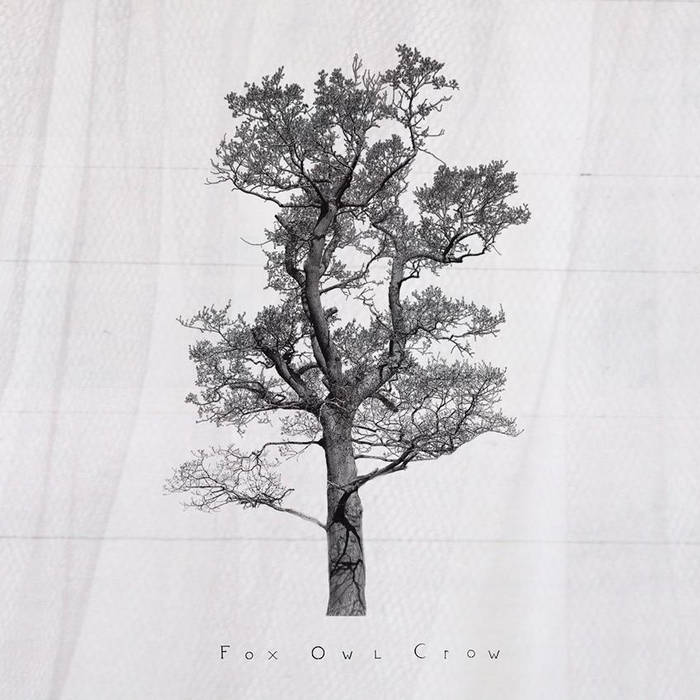 Fox Owl Crow cover