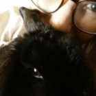 Prin thumbnail