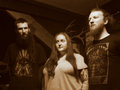 Thunder Grey Pilgrim photo