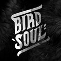 Bird Soul image