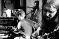 Greylotus photo