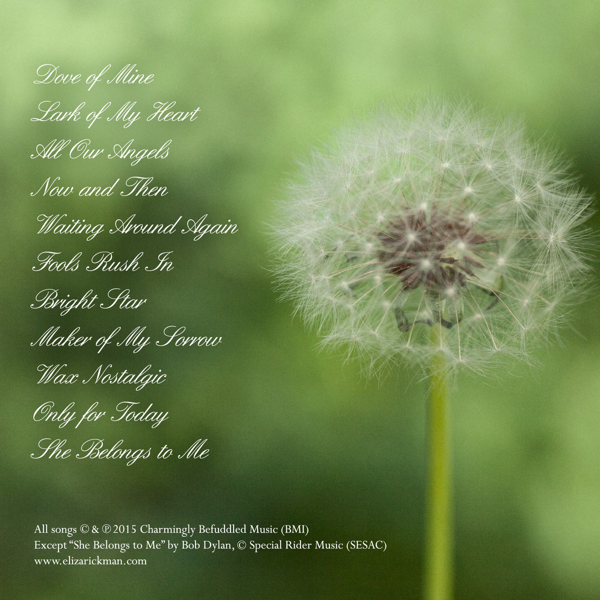 Dove of Mine | Eliza Rickman Dove of Mine | Eliza Rickman