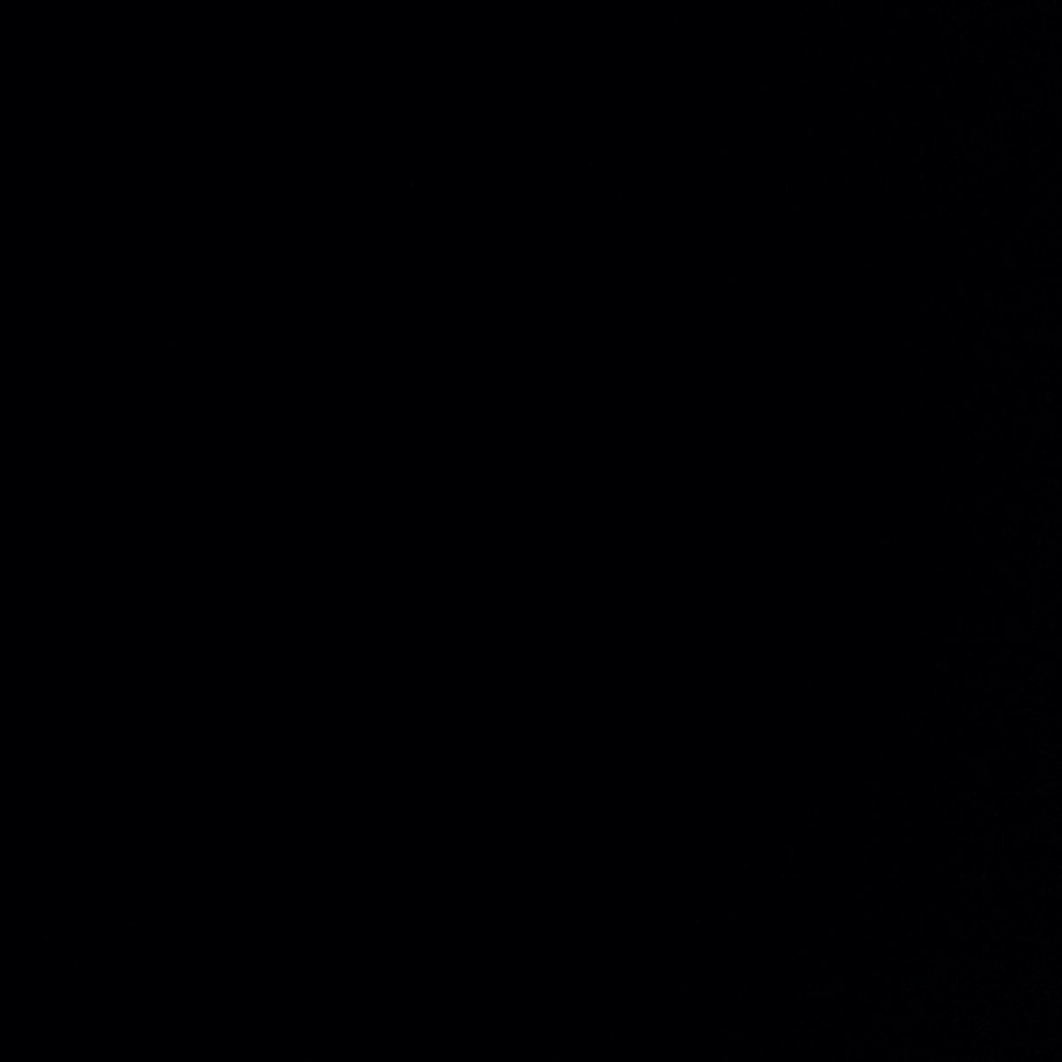 Here Comes Everybody The Cartridge Family