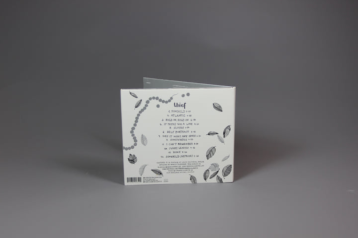 邦楽 The thief that stole my sad days タ*ア様 The thief that stole my sad days Moodymann – The