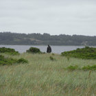 J. W. thumbnail