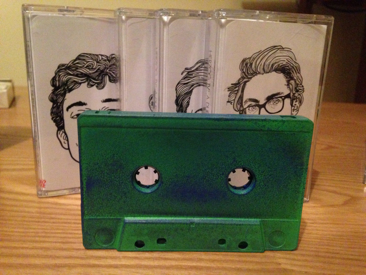 Herzog TV A Dublin LoFi Collection Various Artists Little L Records