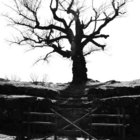 This place only brings death | Heart Of A Coward | Arising