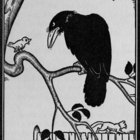 MischD thumbnail