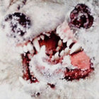 gabagool thumbnail