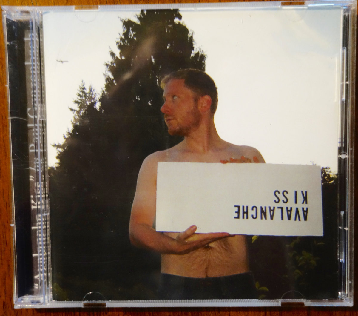 洋楽 Avalanche / Scratching at the surface 0006051667_10.jpg