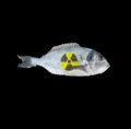Nuclear Fish image