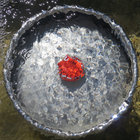 Graham Collins thumbnail