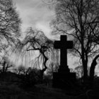 Robert Robichaux Sr. thumbnail