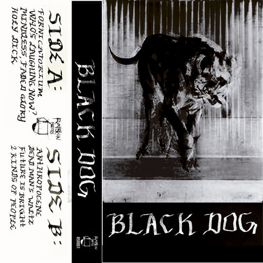 Black Dog