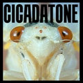 Cicadatone image