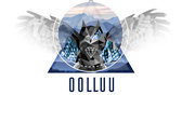 Oolluu Owl T-shirt photo 