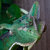Bandcamp profile picture for @sentimental