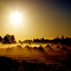 SwallowSunshine thumbnail