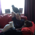 Andrew Cooper thumbnail