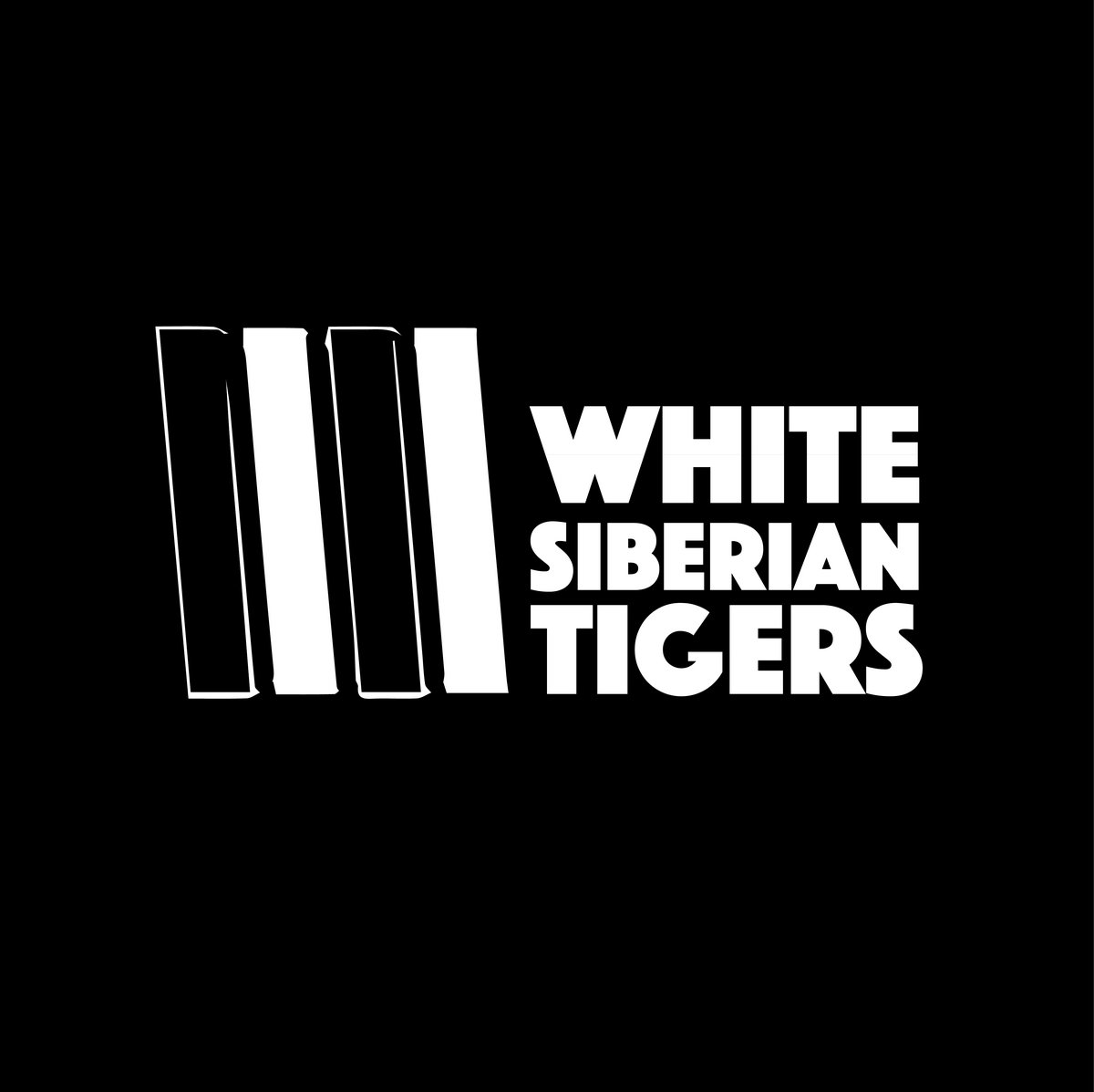 Welcome To The Party | White Siberian Tigers