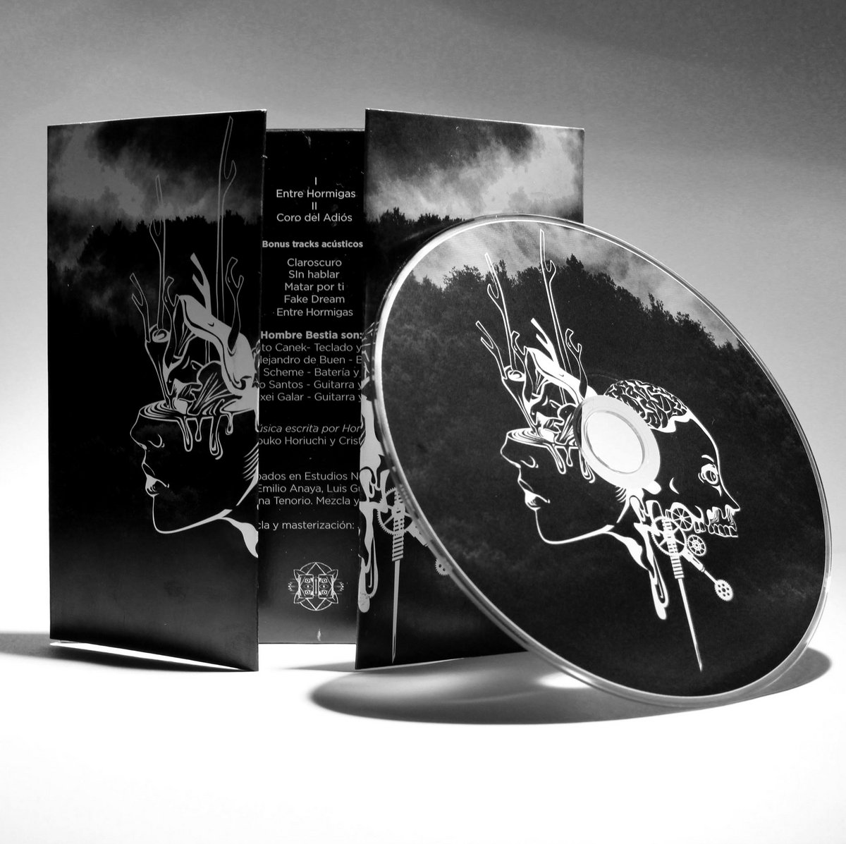 Zinc Oxide Nanocatalyst Mediates Cadmium And Lead Toxicity Tolerance Mechanism By Differential Regulation Of Photosynthetic Machinery And Antioxidant Enzymes Level In Cotton Seedlings Sciencedirect