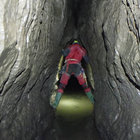 Joe Daniels thumbnail
