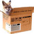 Foxx (in a box) thumbnail