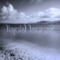 Liquid Lounge image