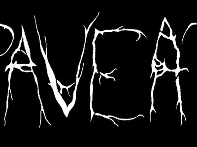 "Black Metal" Twig Logo main photo