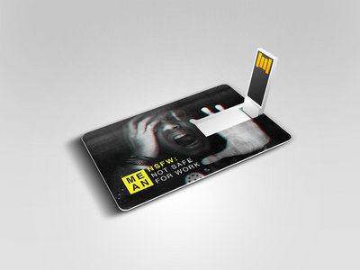 NSFW: Not Safe For Work – Limited Edition USB Card main photo