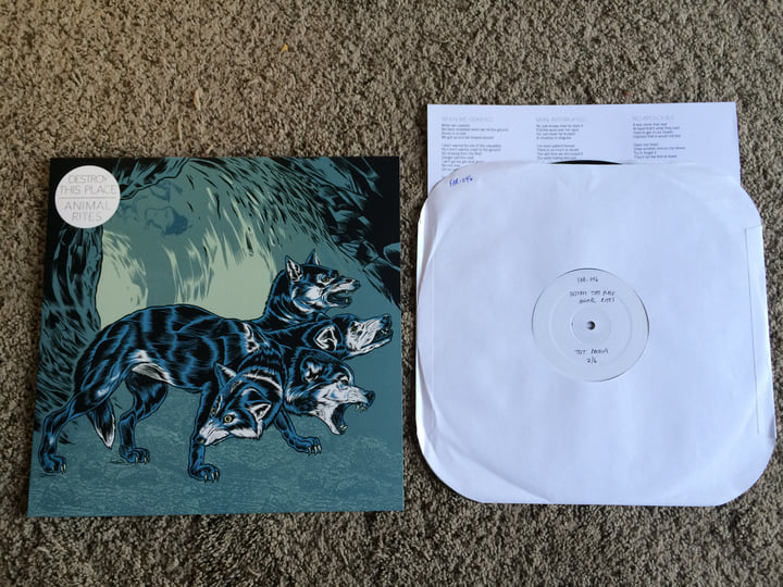 Animal Rites | Destroy This Place | Forge Again Records
