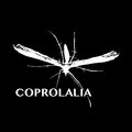 Coprolalia Digital image