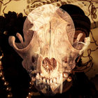 Donnie Bugden thumbnail