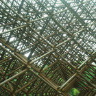 Mob Justice The Rival Mob