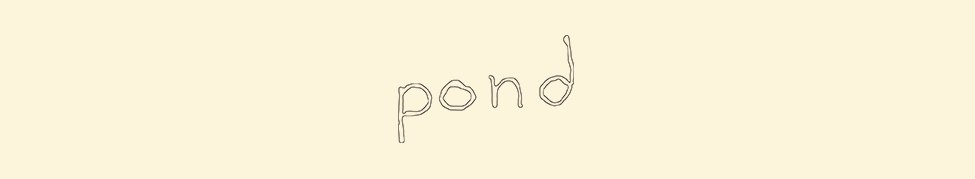 Pond — Photo
