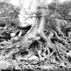 Heulu thumbnail