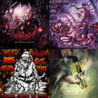 Finis Omnium Ignorantiam | Vulvodynia | Chugcore