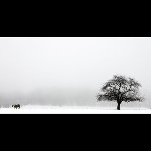 Black Country