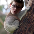 Maurice Chaloupier thumbnail